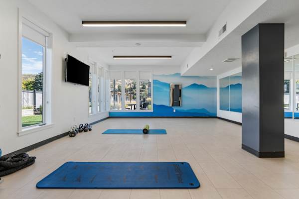 Apartment Gym